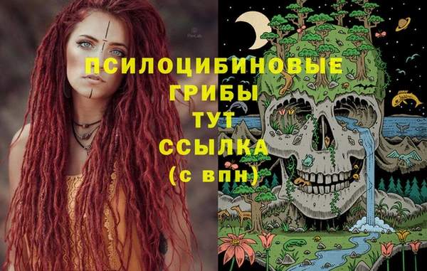 молекула духа Беломорск