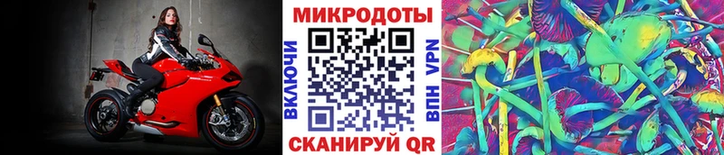 Галлюциногенные грибы GOLDEN TEACHER сайты даркнета формула Куйбышев купить наркотик